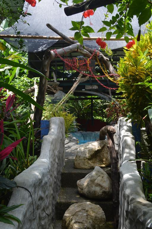 כראתה Lookout Inn Beach Rain-Forest Eco Lodge מראה חיצוני תמונה
