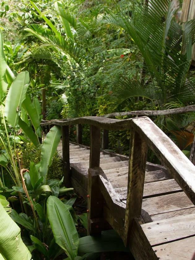 כראתה Lookout Inn Beach Rain-Forest Eco Lodge מראה חיצוני תמונה