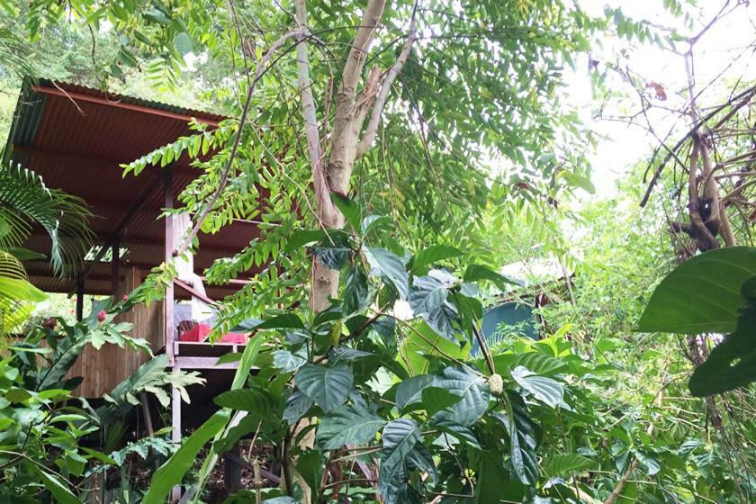 כראתה Lookout Inn Beach Rain-Forest Eco Lodge מראה חיצוני תמונה